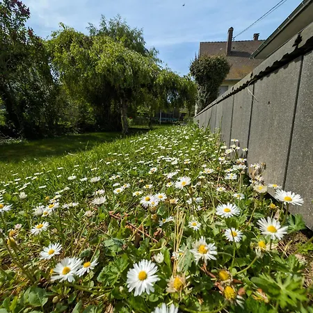 La Vill'alsacienne ! Hébergement de vacances