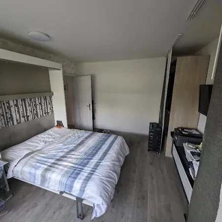 La Vill'alsacienne ! Hébergement de vacances Mundolsheim